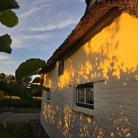 Reetdachhaus Petra